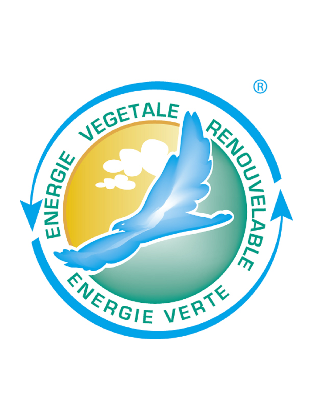 liquide vaisselle