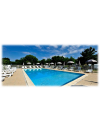 Entretien des Piscine